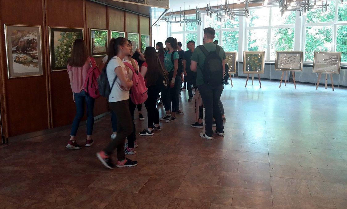 Bosanski kulturni centar Gracanica